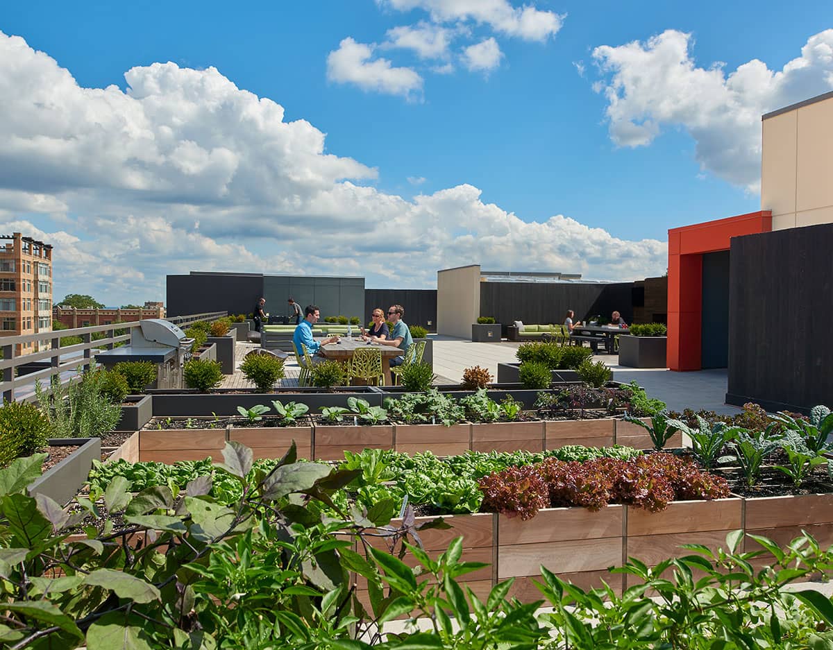 CBG’s Ten at Clarendon apartments’ rooftop garden located at 3110 10th Street North Arlington, VA 22201.